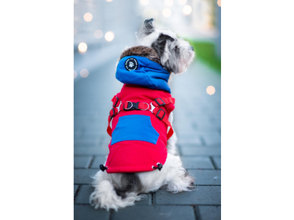Ronald zimní bunda pro psa s postrojem - vsepropejska.cz