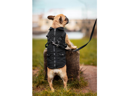 Tulsi zimní bunda pro psa s postrojem - vsepropejska.cz
