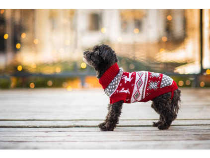 Damián svetr pro psa - svetr pro psa - vsepropejska.cz
