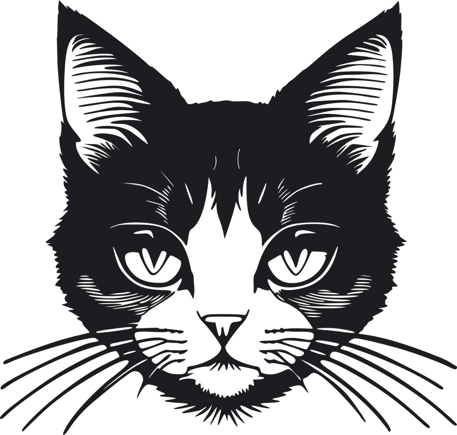 Levně 3D samolepka na zeď ze dřeva kočka 5 Rozměr (cm): 38 x 36, Dekor: Černá