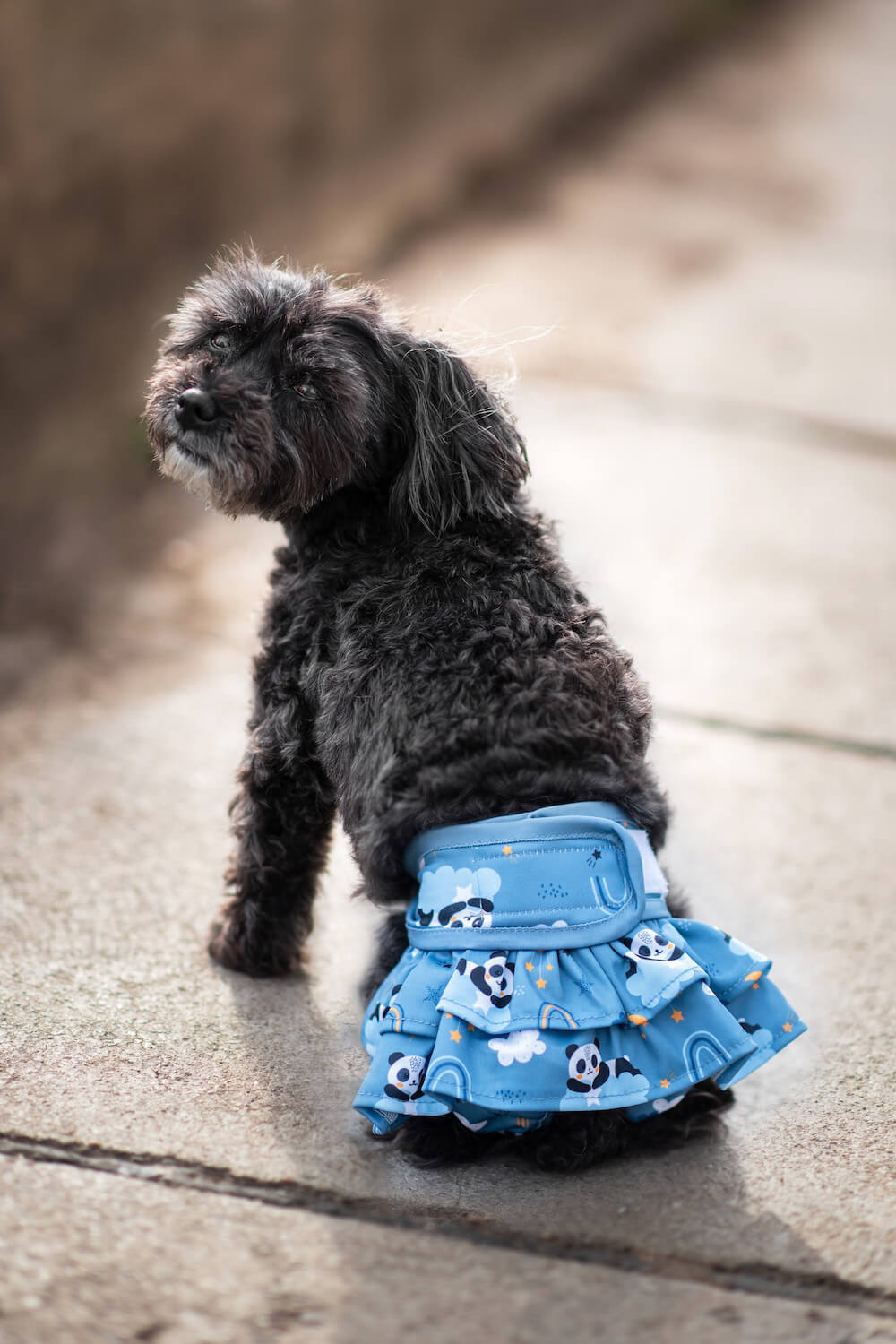 Vsepropejska Nataša hárací kalhotky pro psa Barva: Tmavě-modrá, Obvod slabin (cm): 30 - 49