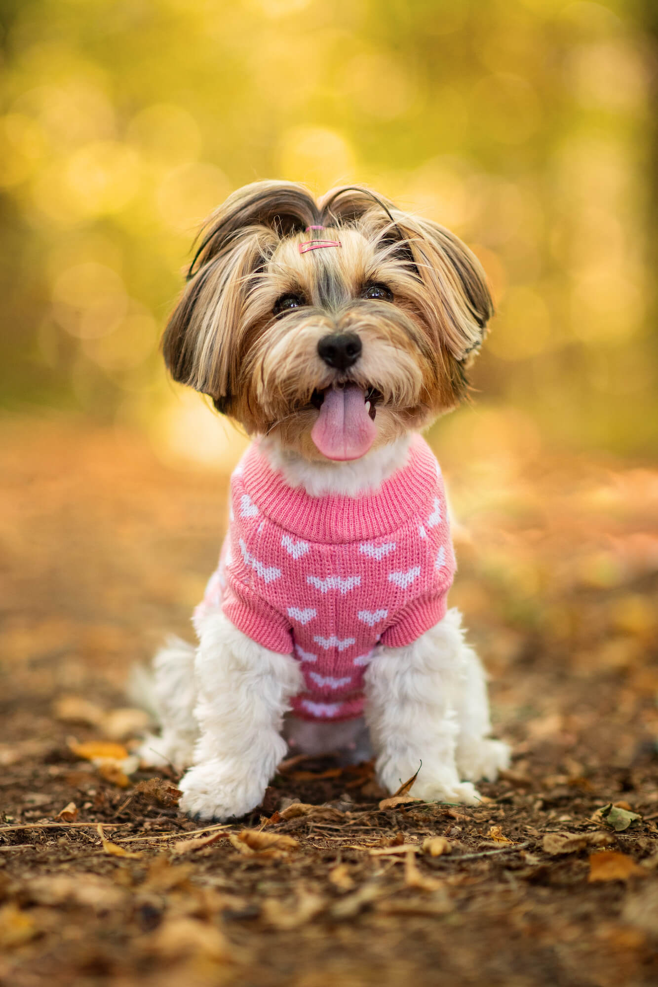 Vsepropejska Heart svetr pro psa se srdíčky Barva: Růžová, Délka zad (cm): 35, Obvod hrudníku: 34 – 40 cm