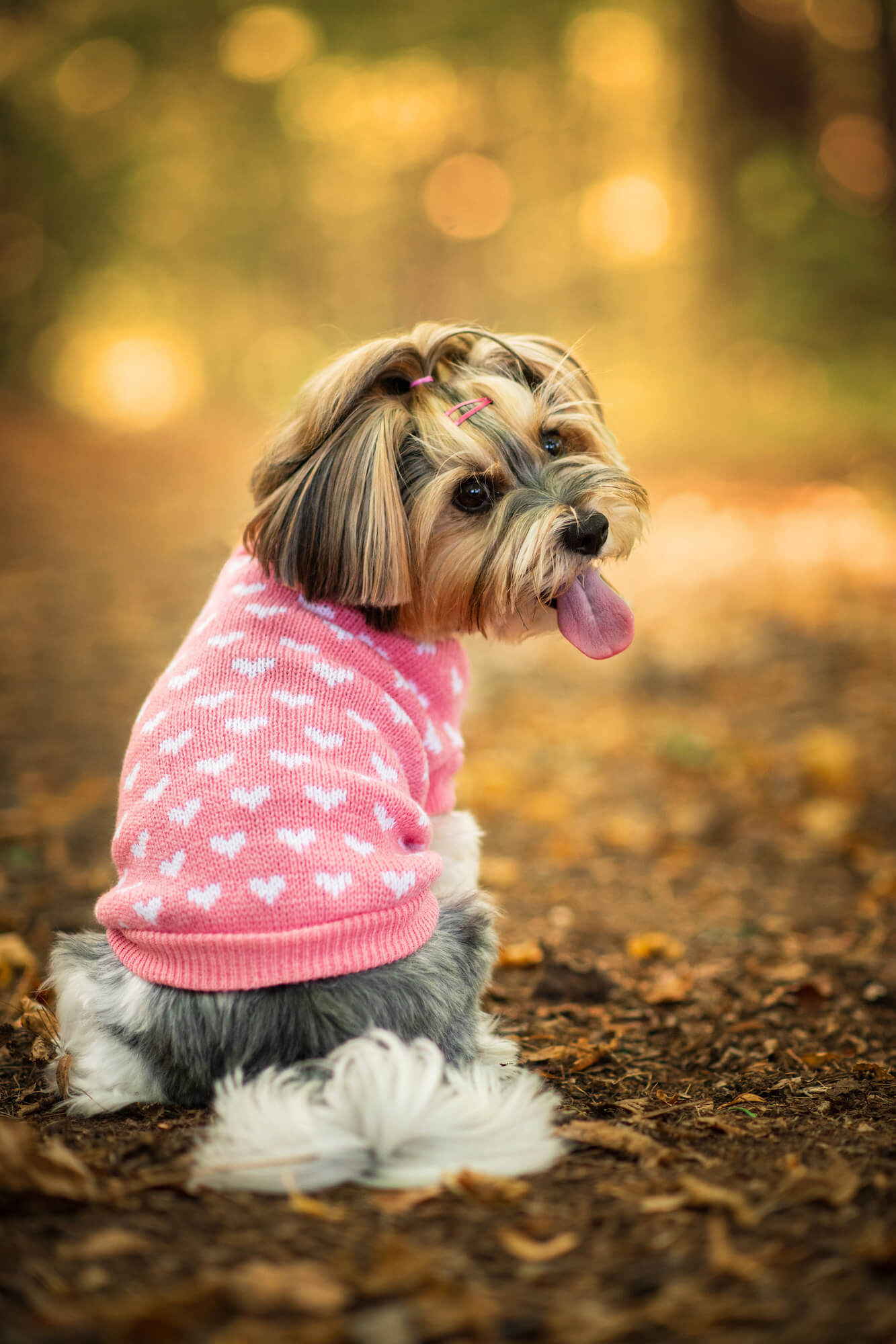 Vsepropejska Heart svetr pro psa se srdíčky Barva: Růžová, Délka zad (cm): 25, Obvod hrudníku: 23 - 30 cm