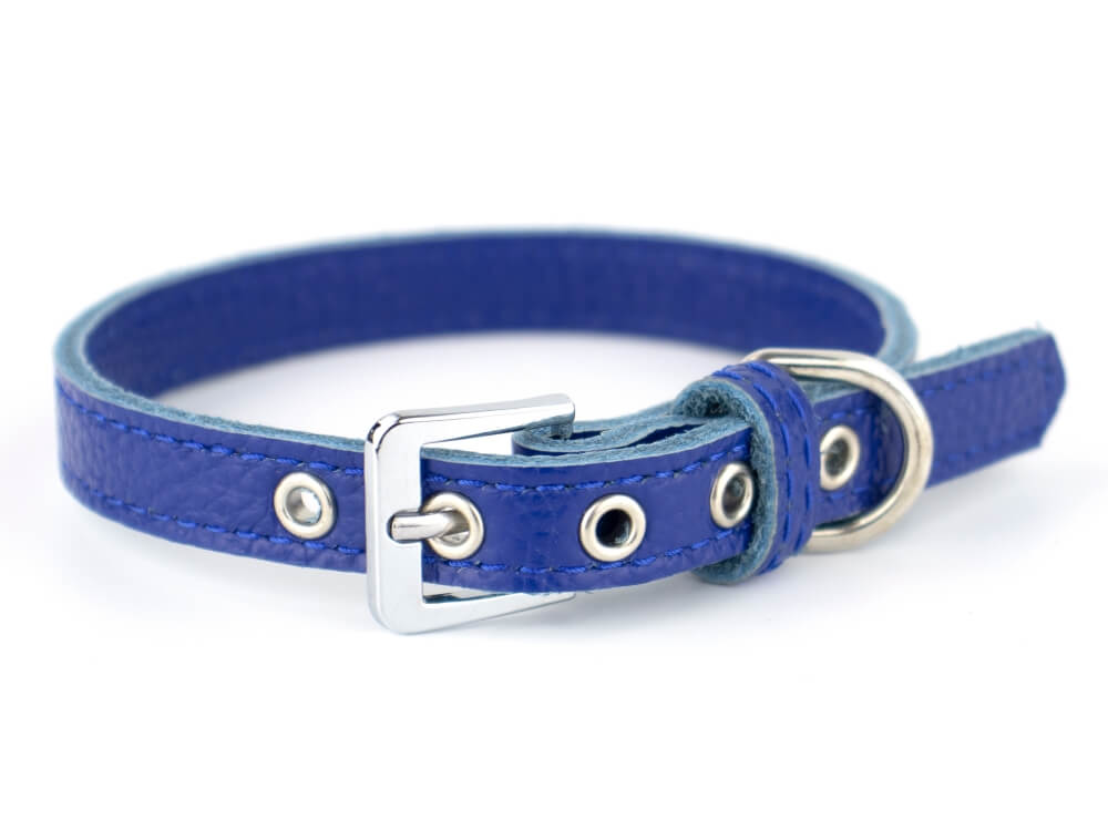 Vsepropejska Lax obojek pro psa | 20 - 29 cm Barva: Modrá, Obvod krku: 24 - 29 cm