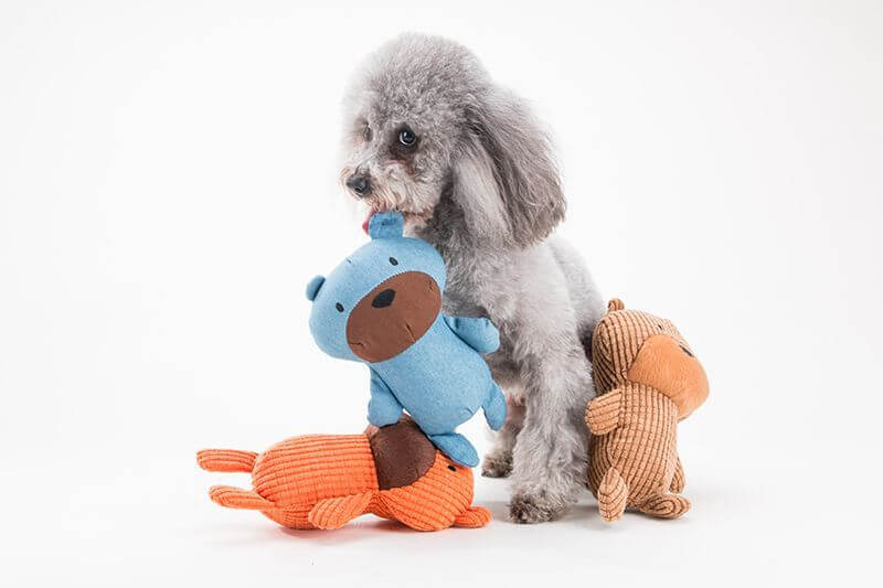 Vsepropejska Bear medvídek pro psa | 22 cm Barva: Modrá