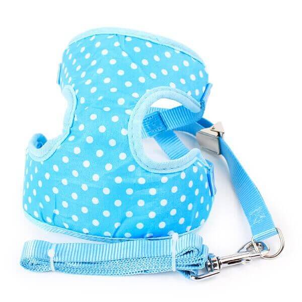 Vsepropejska Dotty modrý postroj pro psa s puntíky a vodítkem | 35 – 50 cm Barva: Modrá, Obvod hrudníku: 35 - 50 cm