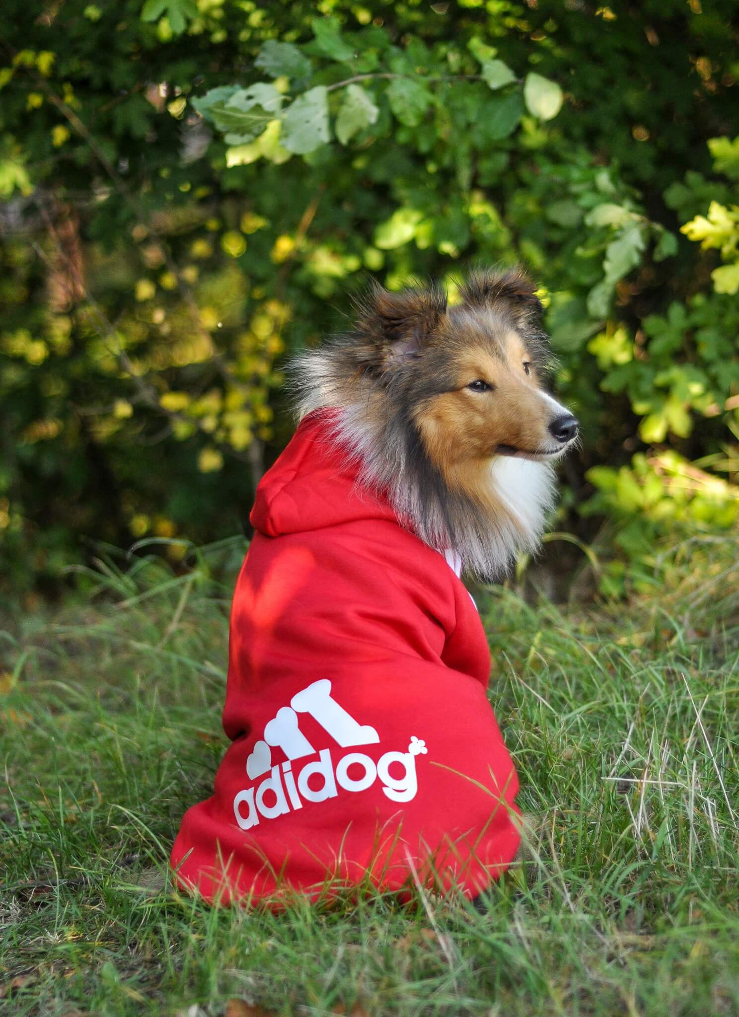 Vsepropejska Adidog červená mikina pro psa Délka zad (cm): 60, Obvod hrudníku: 62 - 70 cm