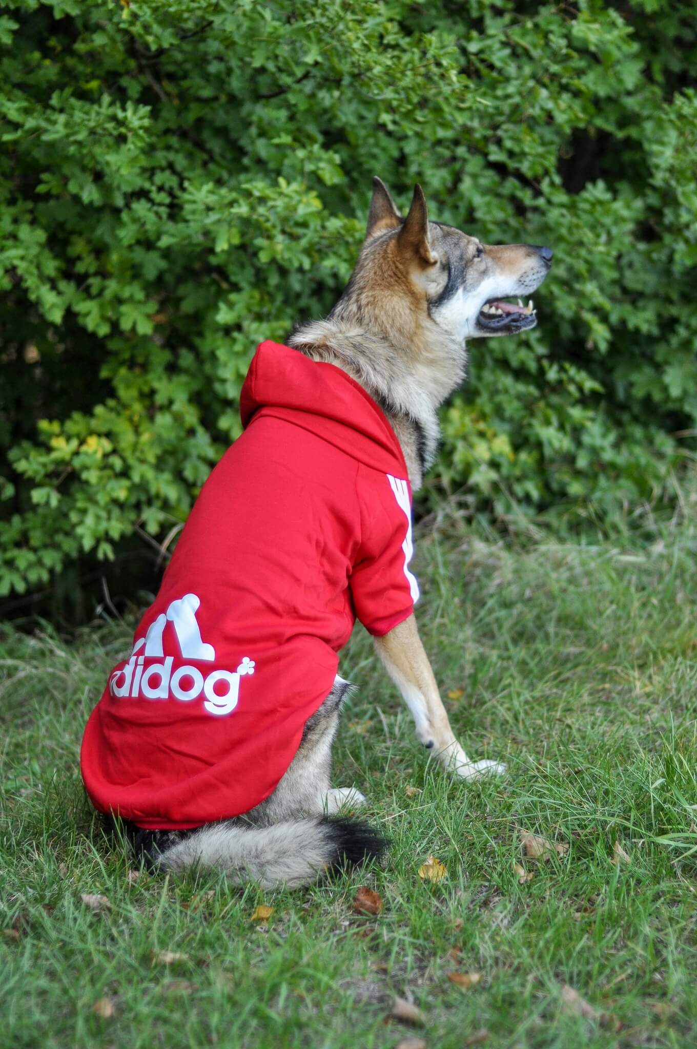 Vsepropejska Adidog červená mikina pro psa Délka zad (cm): 70, Obvod hrudníku: 80 - 88 cm