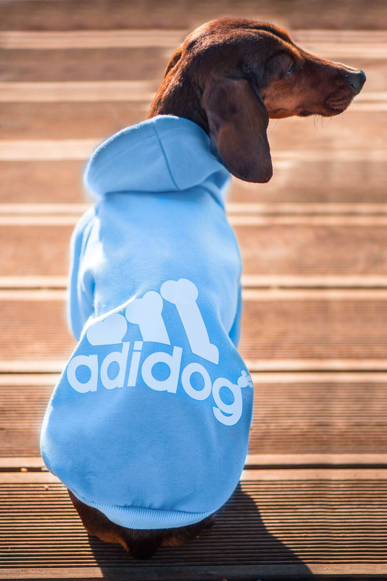 Vsepropejska Adidog světle modrá mikina pro psa Délka zad psa: 18 cm, Obvod hrudníku: 22 - 28 cm