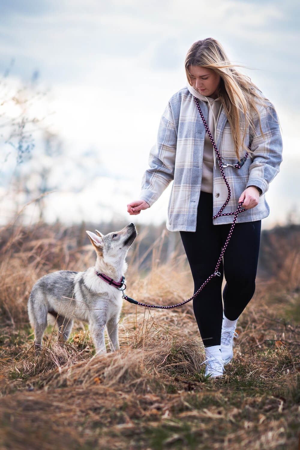 Palkar Climb přepínací vodítko pro psa | 250 cm Barva: Černá, Délka vodítka: 150 cm, Šířka vodítka: 0,8 cm