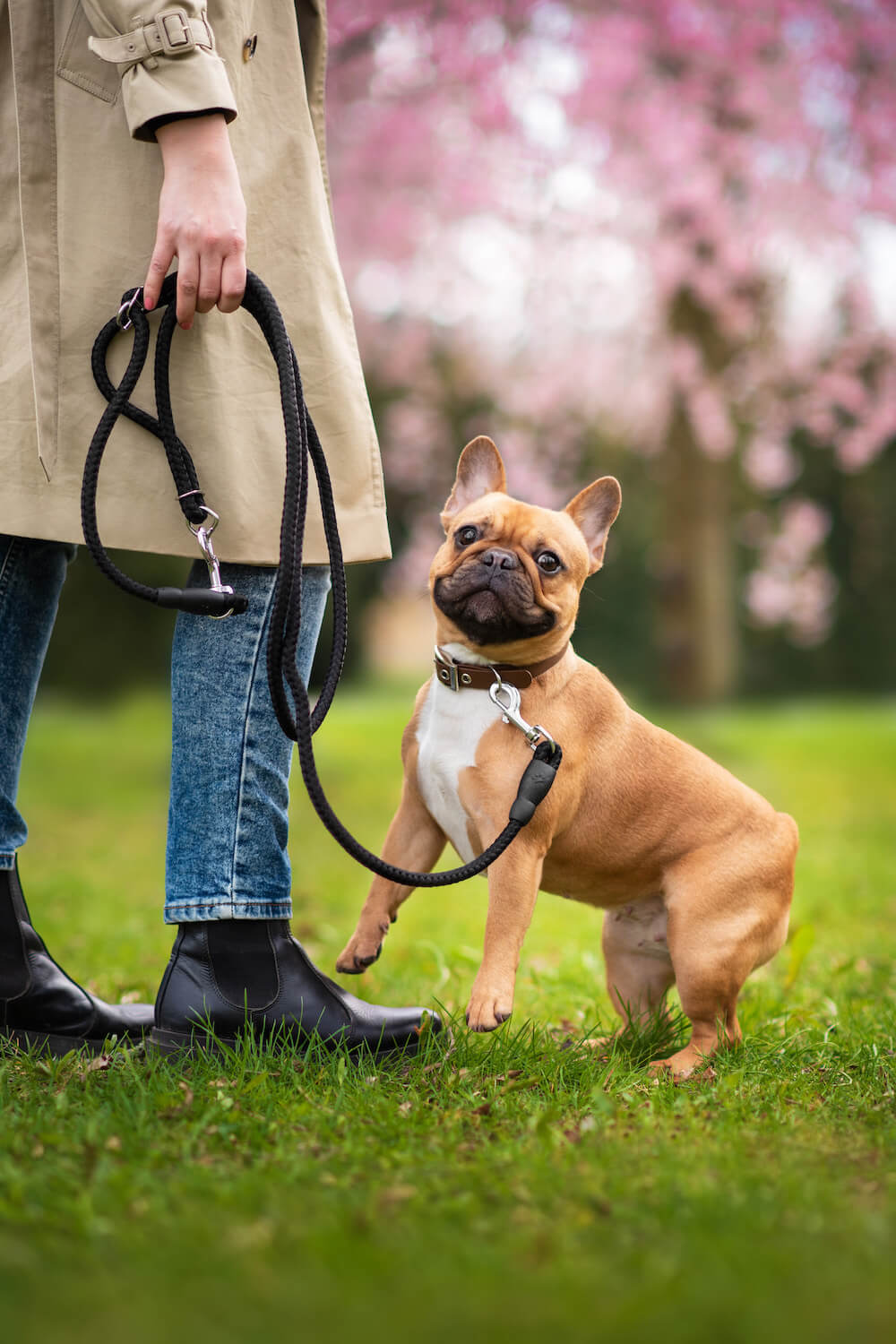 Palkar Climb přepínací vodítko pro psa | 250 cm Barva: Černo-žlutá, Délka vodítka: 150 cm, Šířka vodítka: 0,8 cm