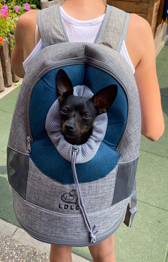 Vito šedo-modrý batoh pro psa | do 3 Kg