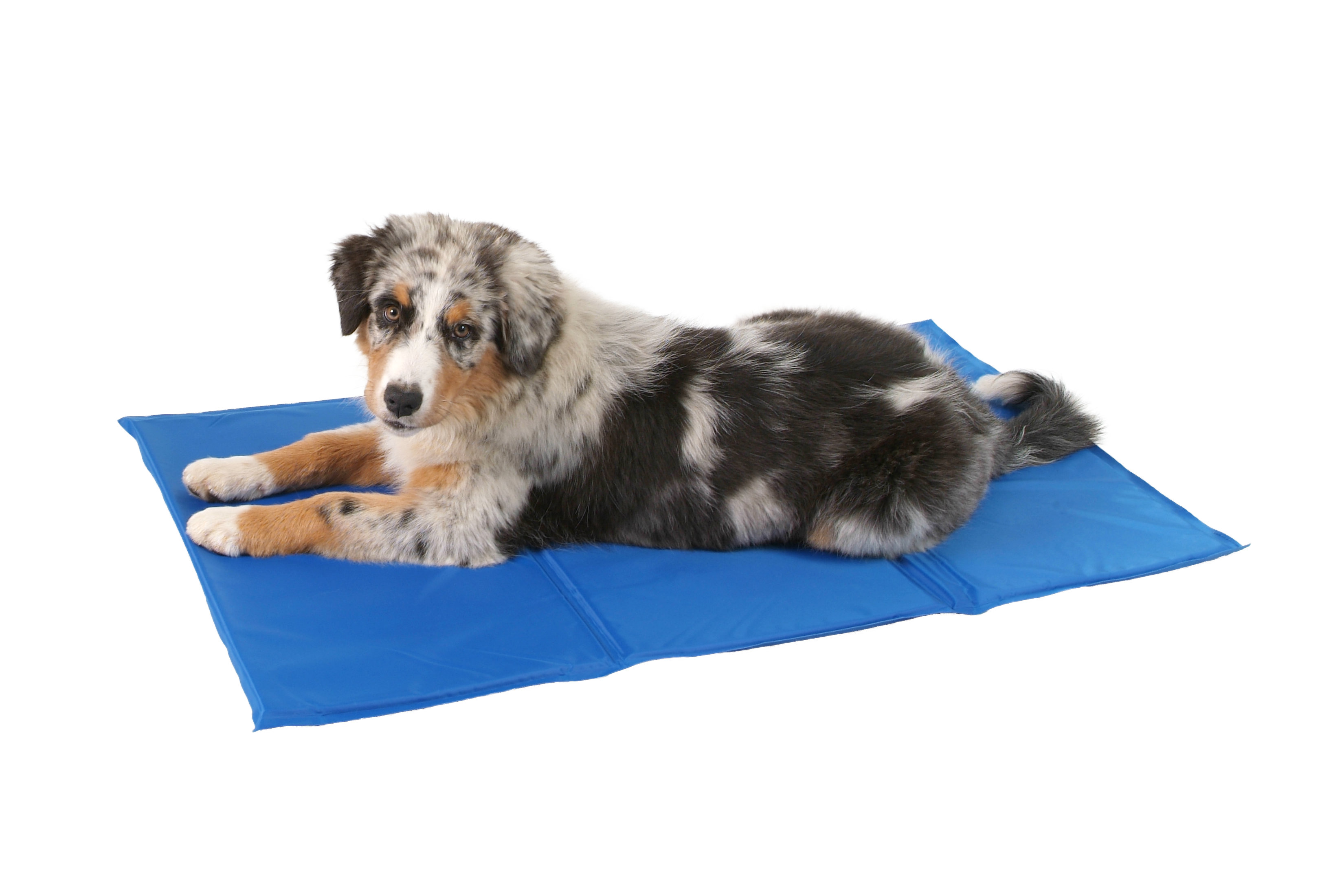 I love pets Chladící podložka pro psa