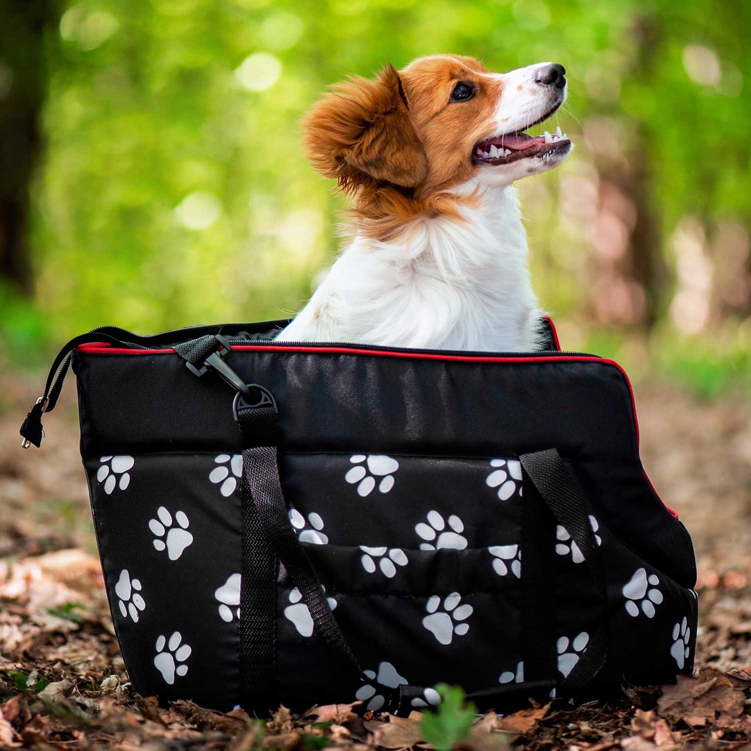 HobbyDog Nice černá taška pro psa tlapka Dle váhy psa: do 4 kg