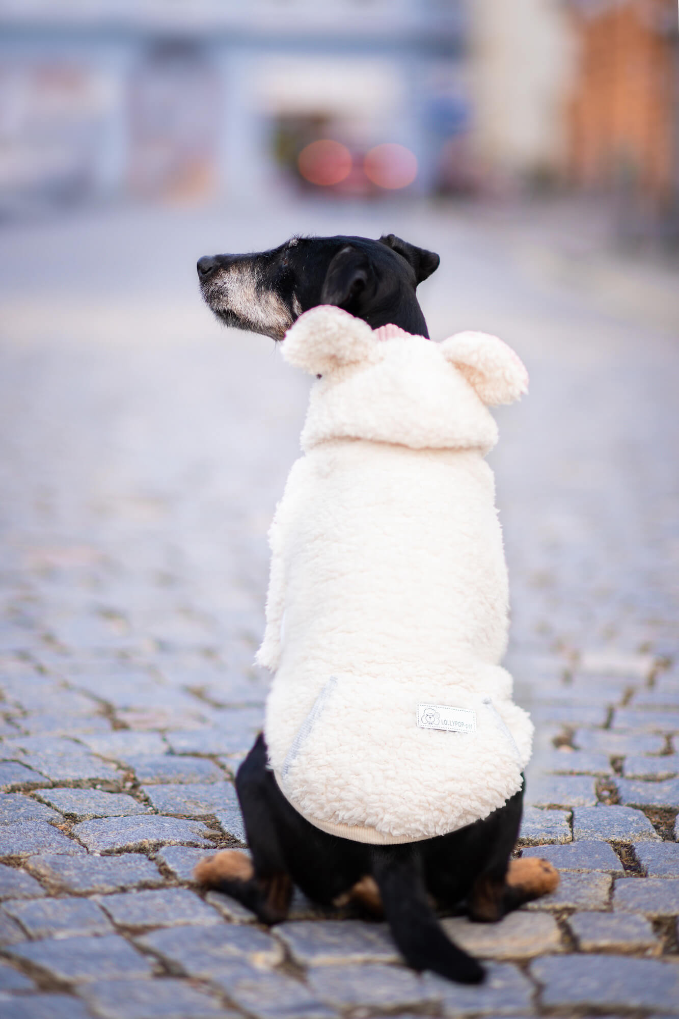 Vsepropejska Kira měkoučká mikina pro psa Barva: Bílá, Délka zad (cm): 35, Obvod hrudníku: 42 - 48 cm