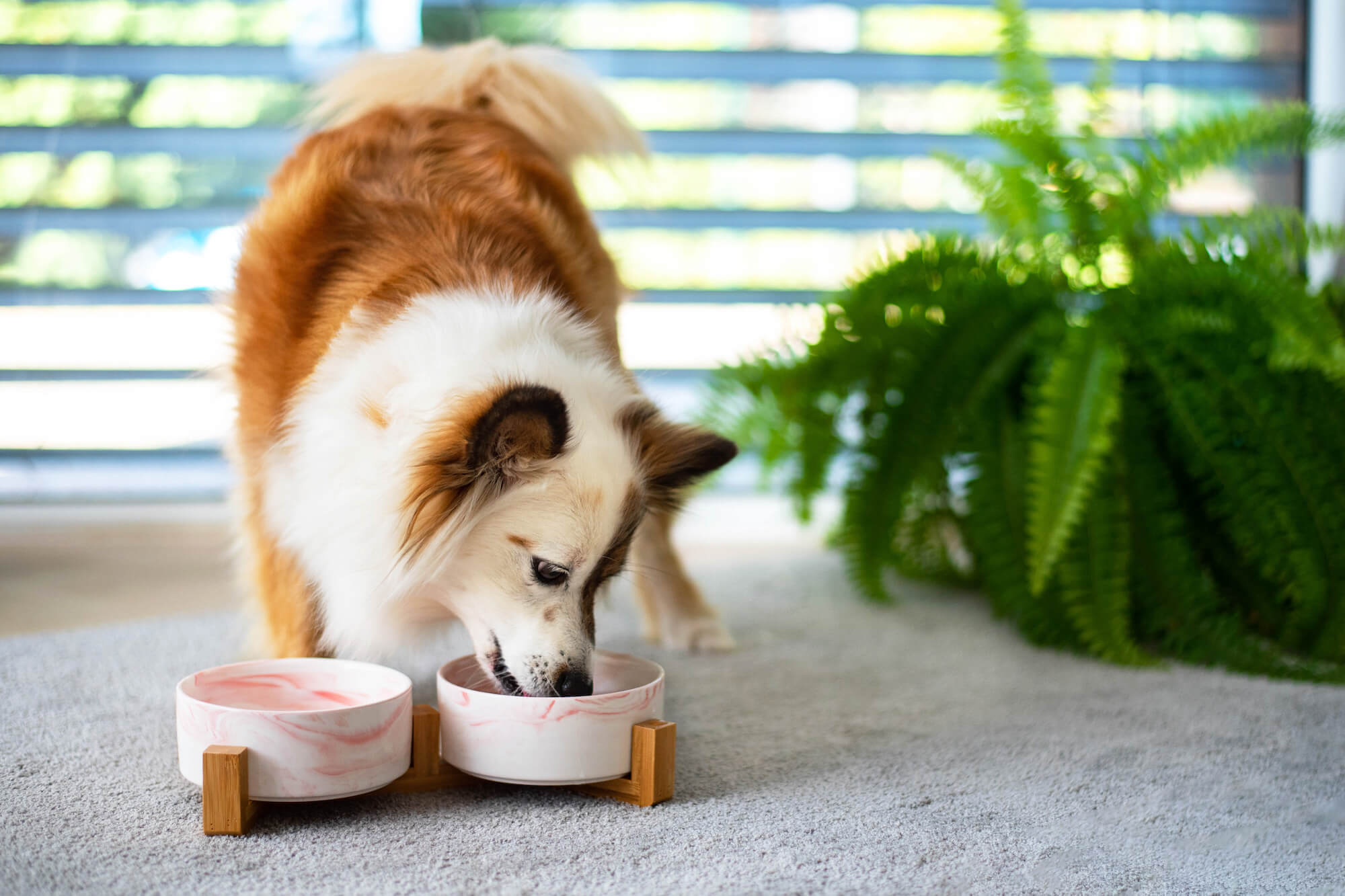 Vsepropejska Garbo dvojitá mramorová keramická miska pro psa či kočku Barva: Růžová, Rozměr (cm): 15