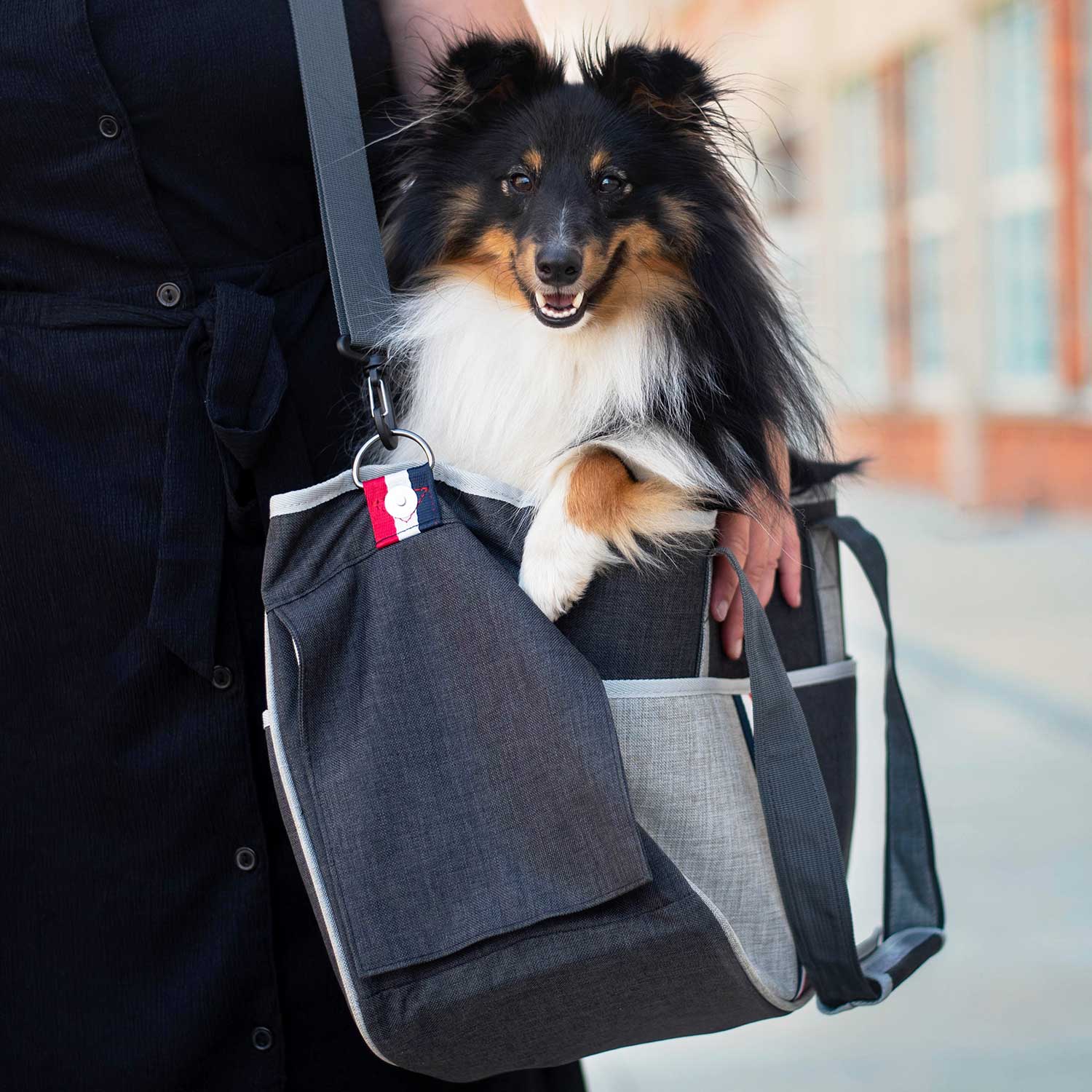Elma cestovní taška pro psa | do 4 Kg Barva: Černá, Dle váhy psa: do 3 kg