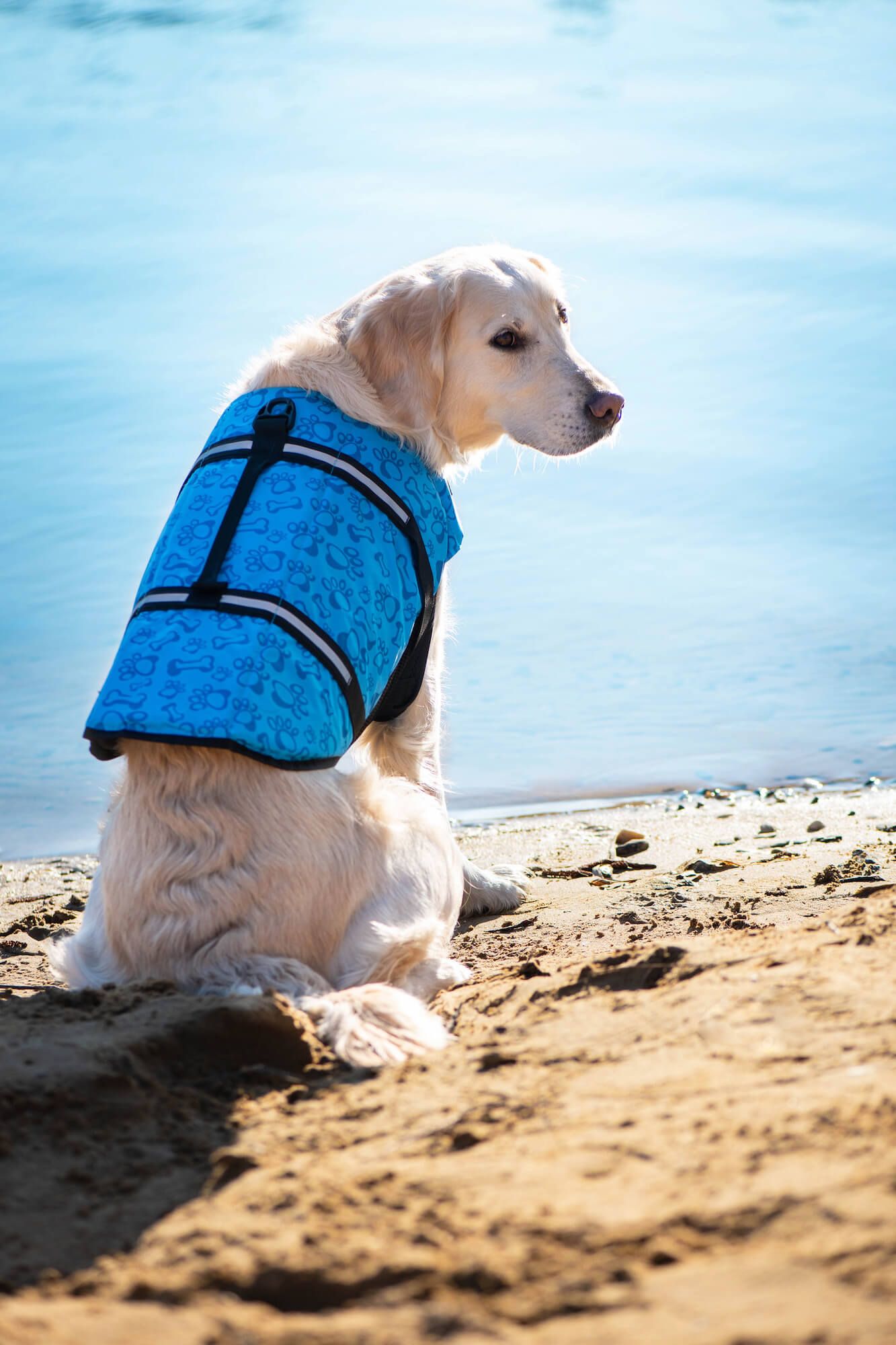 Vsepropejska Orsa plovací vesta pro psa Barva: Modrá, Délka zad (cm): 30, Obvod hrudníku: 45 – 65 cm