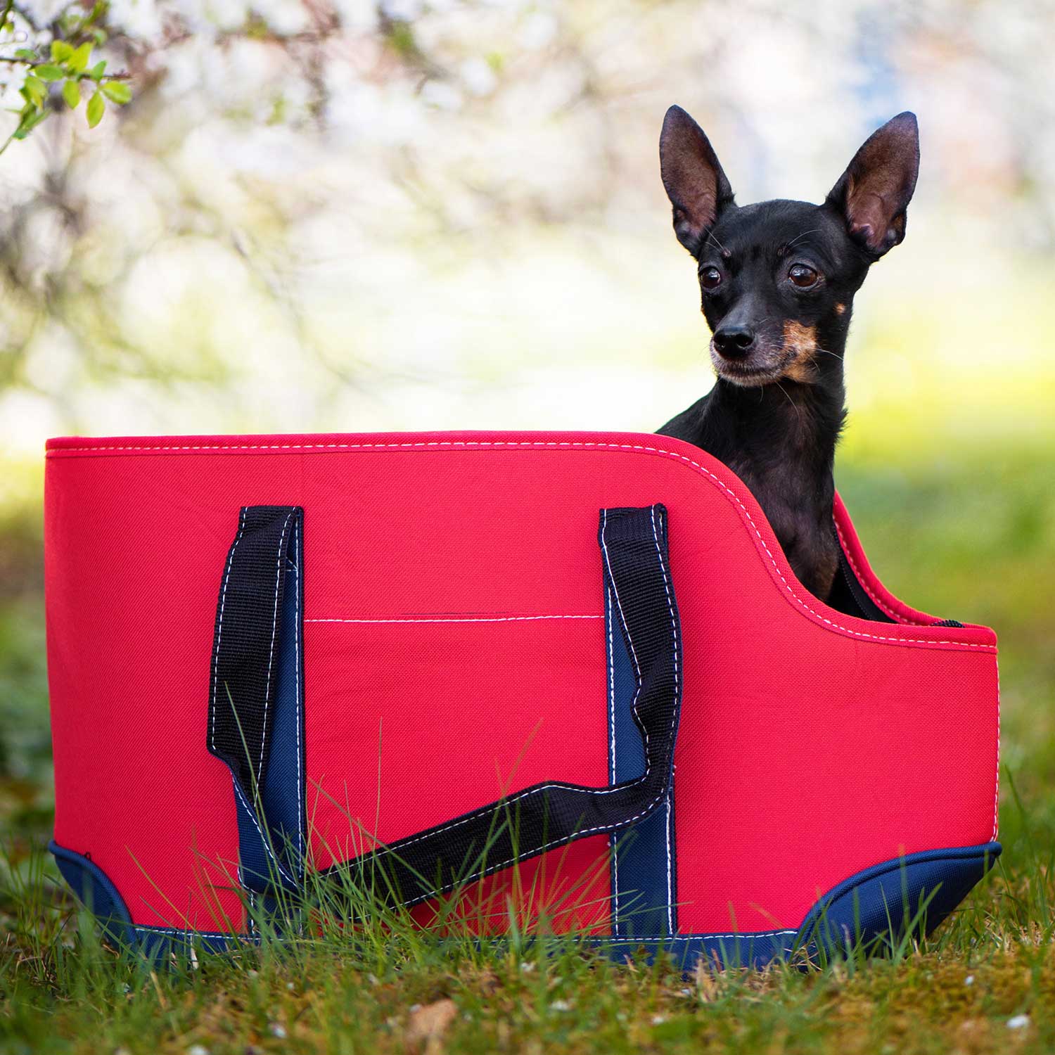 Levně Geri cestovní taška pro psa Barva: Červená, Dle váhy psa: do 3,5 kg