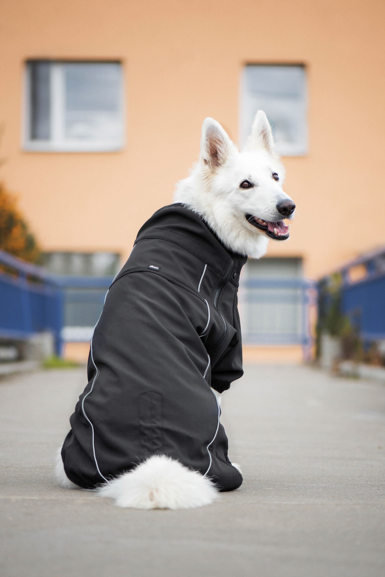 Vsepropejska Tais bunda pro psa na zip s reflexními prvky Barva: Černá, Délka zad (cm): 59, Obvod hrudníku: 78 - 84 cm