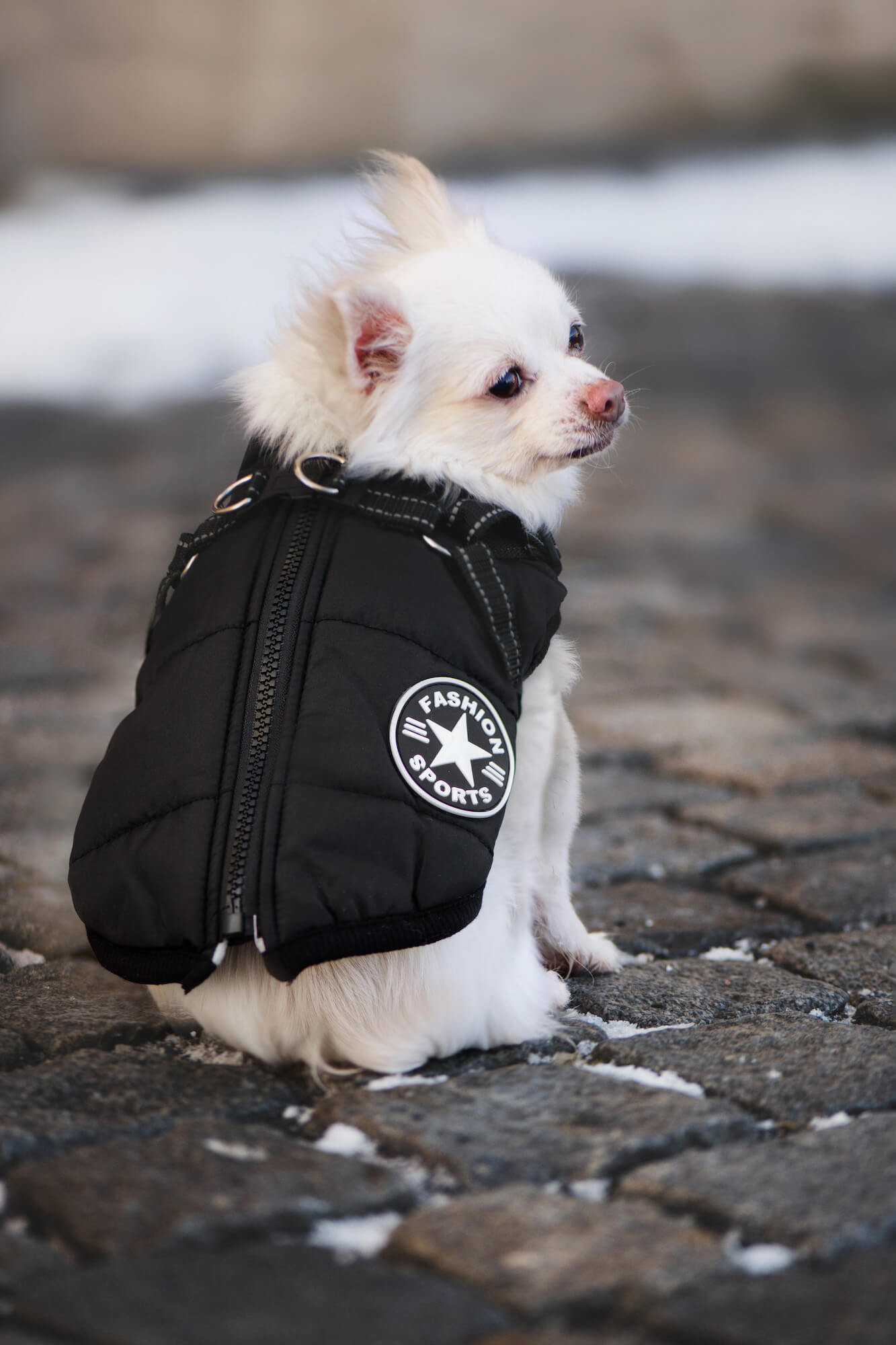 Vsepropejska Achar zimní bunda pro psa s postrojem Barva: Černá, Délka zad (cm): 26, Obvod hrudníku: 38 – 42 cm