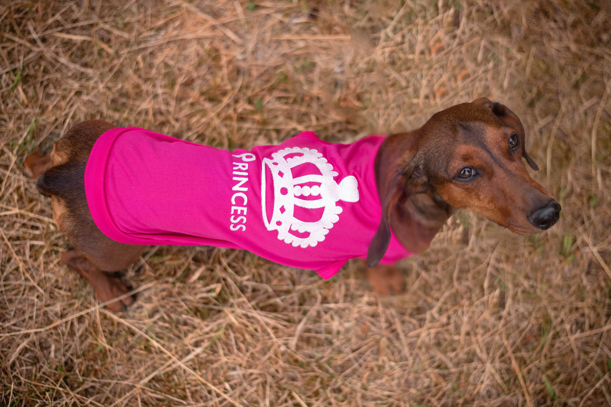 Vsepropejska Flou letní tričko pro psa Barva: Růžová, Délka zad (cm): 19, Obvod hrudníku: 29 - 33 cm