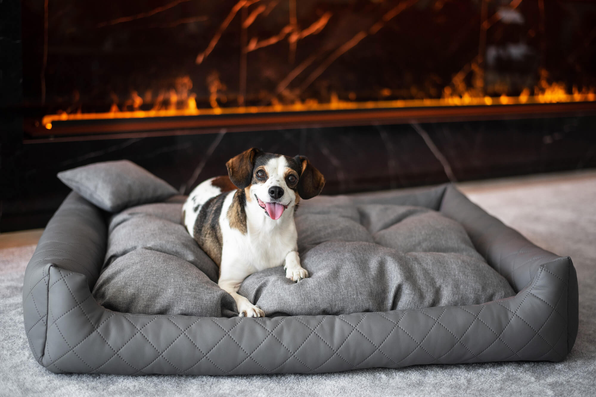 Levně Delux kožený pelech pro psa s polštářkem Barva: Tmavě-šedá, Rozměr (cm): 110 x 90
