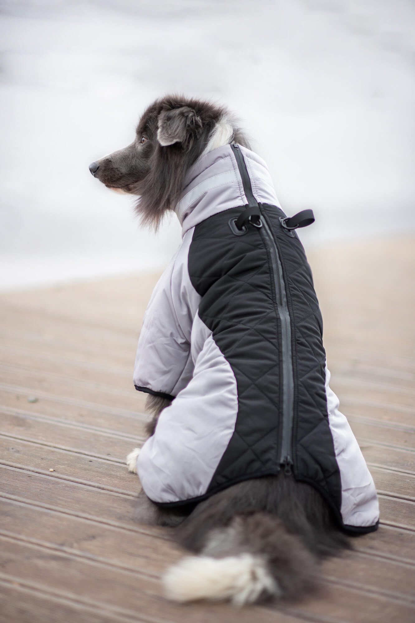 Vsepropejska Plex zimní bunda pro psa Barva: Černá, Délka zad (cm): 56, Obvod hrudníku: 60 - 68 cm