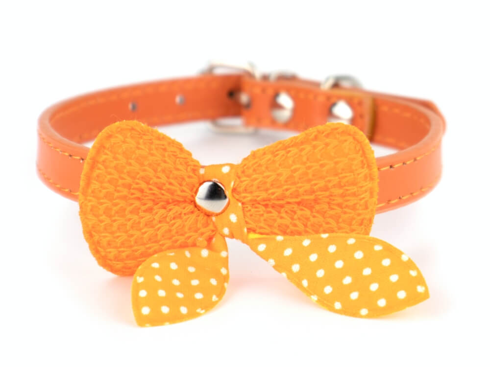 Vsepropejska Fashion obojek s motýlkem | 18 - 36 cm Barva: Oranžová, Obvod krku: 27 - 36 cm