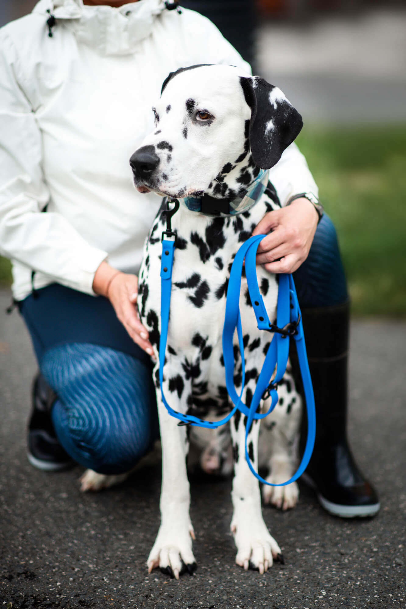 Vsepropejska Flip přepínací vodítko pro psa | 260 cm Barva: Modrá, Délka vodítka: 260 cm, Šířka vodítka: 1,5 cm