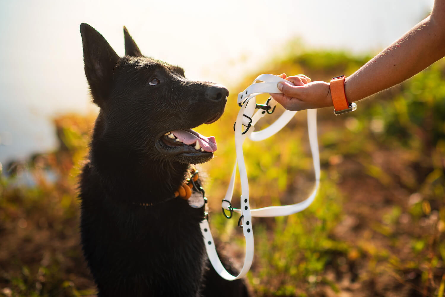 Vsepropejska Flip přepínací vodítko pro psa | 260 cm Barva: Bílá, Délka vodítka: 260 cm, Šířka vodítka: 1,5 cm
