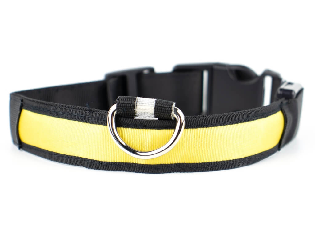 Light svítící obojek pro psa | 28 - 60 cm Barva: Žlutá, Obvod krku: 33 - 43 cm