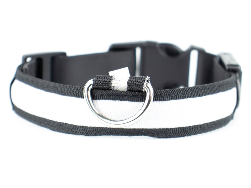 Light svítící obojek pro psa | 28 - 60 cm Barva: Bílá, Obvod krku: 28 - 36 cm