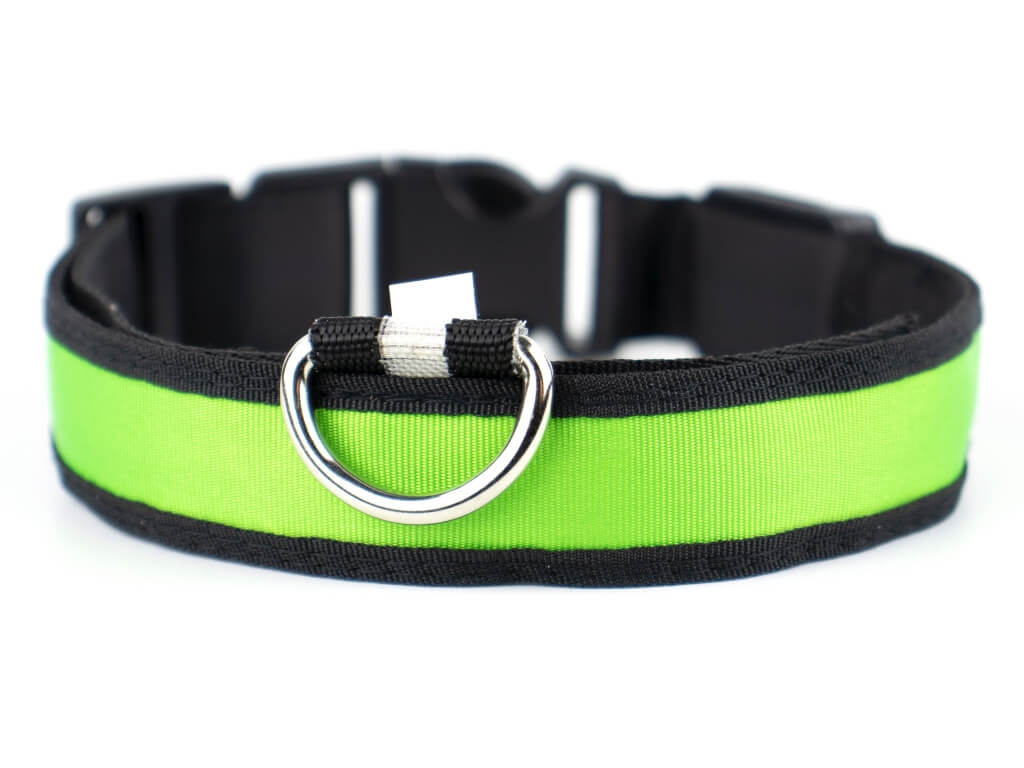 Light svítící obojek pro psa | 28 - 60 cm Barva: Zelená, Obvod krku: 52 - 60 cm