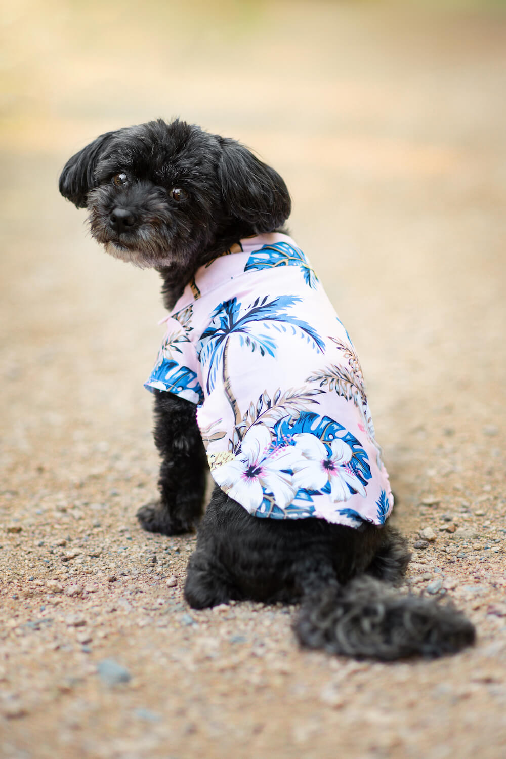 Levně Zyra plážová košile pro psa Barva: Růžová, Délka zad (cm): 19, Obvod hrudníku: 26 - 28 cm