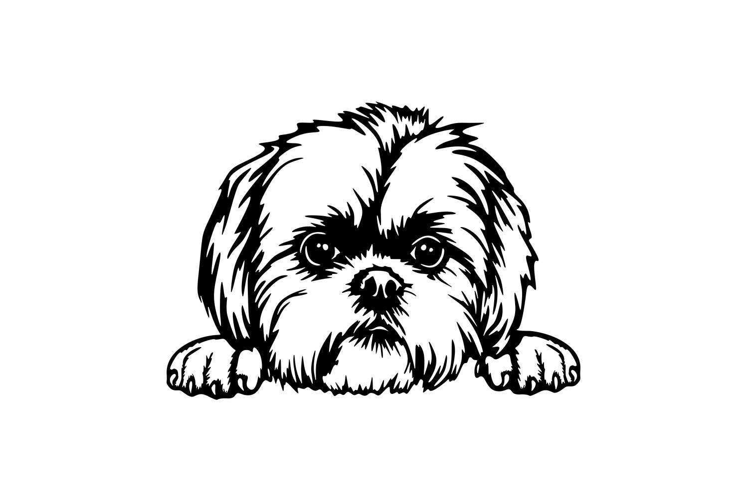 Vsepropejska Shih-tzu 2 dřevěná dekorace na zeď Rozměr (cm): 38 x 28