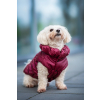 Magie zimní bunda pro psa - oblečky pro psy - vsepropejska.cz