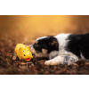 Hakuna pískací zvíře pro psa - vsepropejska.cz