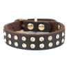 Gold hnědý kožený obojek pro psa | 22 - 28 cm