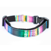 Rainbow fialový obojek pro psa | 28 – 44 cm