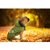 Autumn pláštěnka pro psa - pláštěnky pro psy - vsepropejska.cz