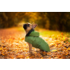 Autumn pláštěnka pro psa - pláštěnky pro psy - vsepropejska.cz