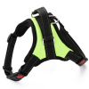 Sporty žlutý sportovní postroj pro psa | 45 – 91 cm - vsepropejska.cz