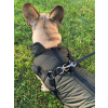 Harness zimní bunda pro psa s postrojem - oblečky pro psy - vsepropejska.cz
