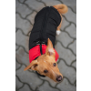 Slim-rainy obleček pro psa na zip XXXDRD (Barva Černo-červená, Délka zad psa 20, Obvod hrudníku 32 - 36 cm)