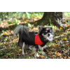 Slim-rainy obleček pro psa na zip XXXDRD (Barva Černo-červená, Délka zad psa 20, Obvod hrudníku 32 - 36 cm)