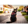 Security bezpečný postroj pro psa | 51 – 115 cm