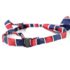 Modro-červená kravata pro psa s proužky - kravaty pro psy - vsepropejska.cz