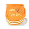 Big dog zimní bunda pro psa - bundy pro psy - vsepropejska.cz