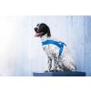 Kelly pet postroj pro psa | 51 – 72 cm